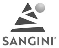 Sangini